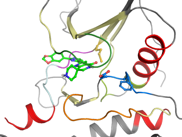 The orthosteric binding pocket