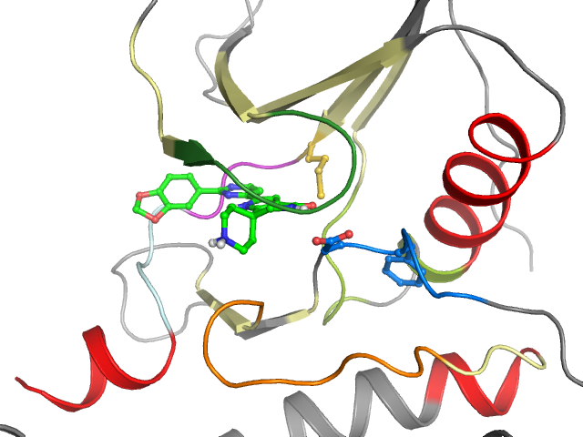 The orthosteric binding pocket