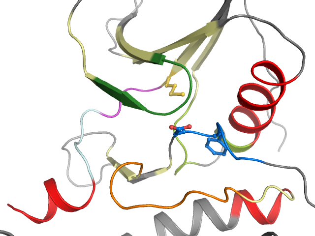 The orthosteric binding pocket