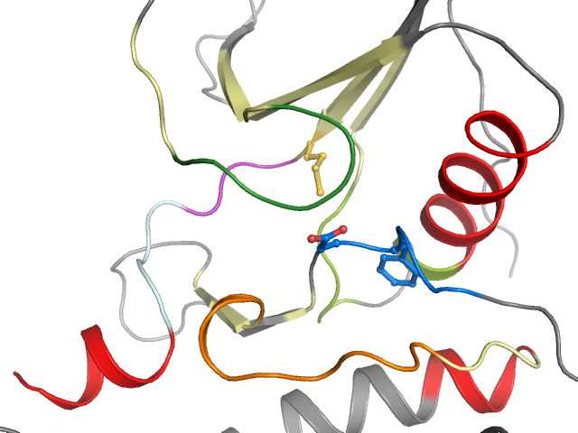 The orthosteric binding pocket