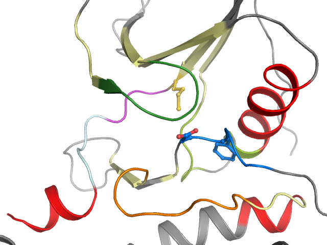 The orthosteric binding pocket