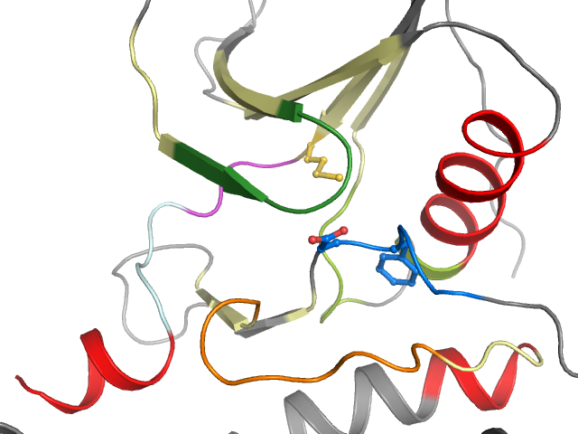 The orthosteric binding pocket