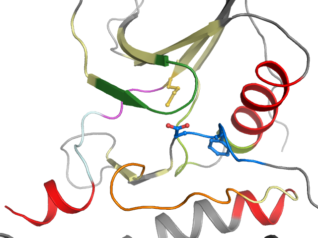 The orthosteric binding pocket