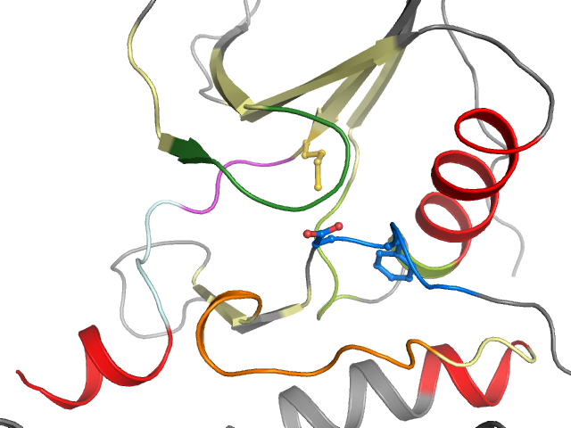 The orthosteric binding pocket