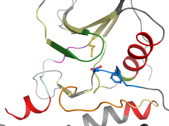 The orthosteric binding pocket