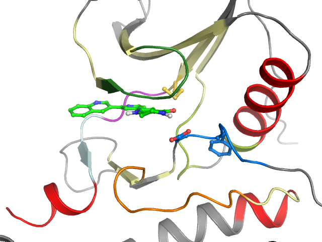 The orthosteric binding pocket