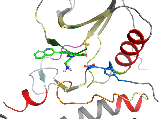 The orthosteric binding pocket