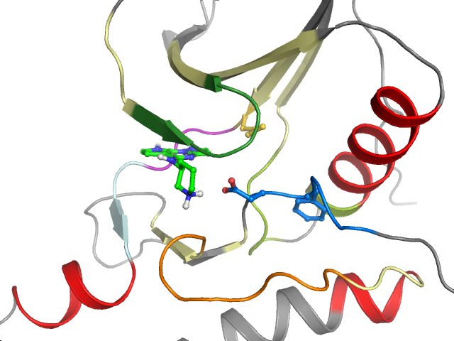 The orthosteric binding pocket