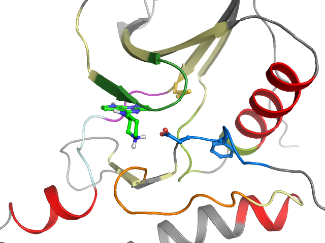 The orthosteric binding pocket