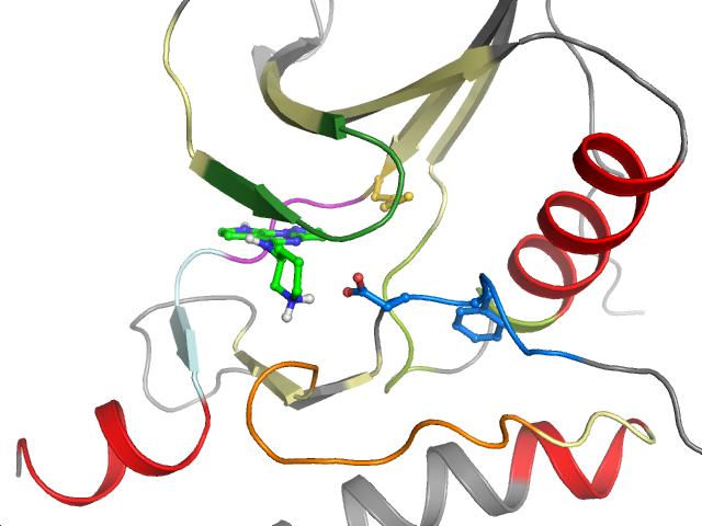 The orthosteric binding pocket
