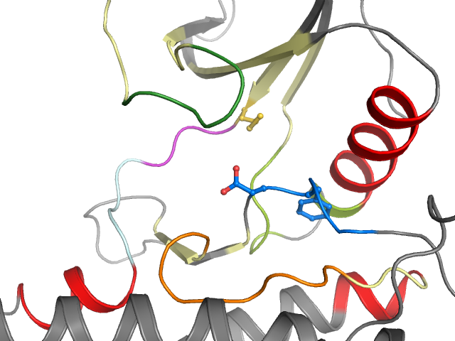 The orthosteric binding pocket