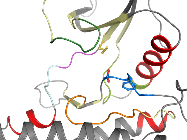 The orthosteric binding pocket
