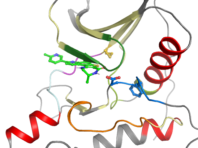 The orthosteric binding pocket