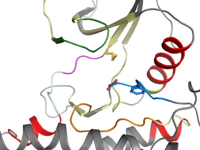 The orthosteric binding pocket