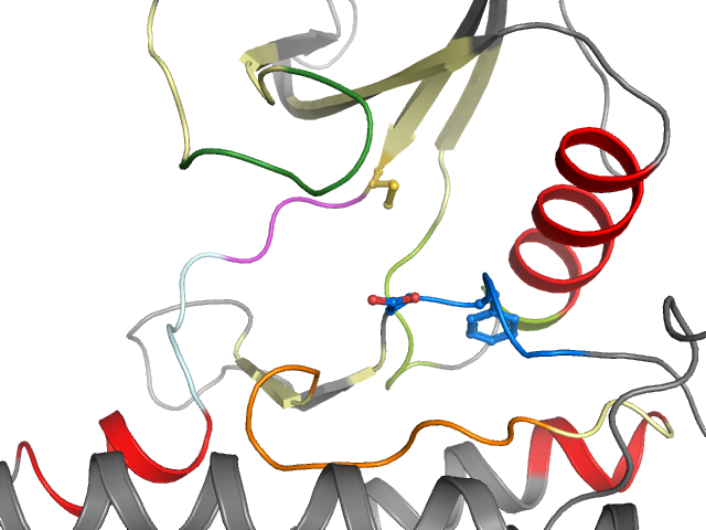 The orthosteric binding pocket