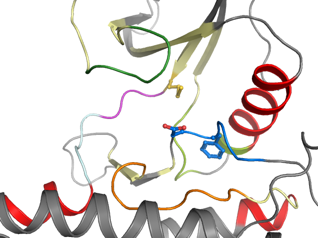 The orthosteric binding pocket