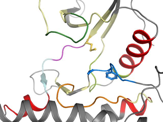 The orthosteric binding pocket