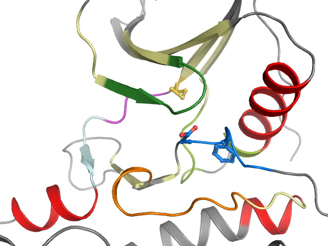 The orthosteric binding pocket