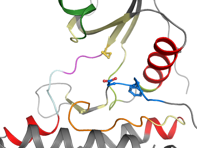 The orthosteric binding pocket