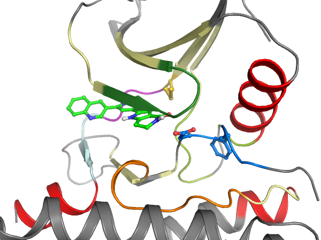 The orthosteric binding pocket