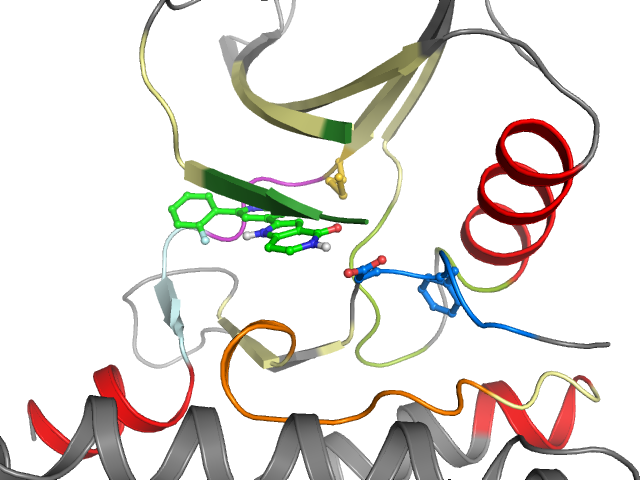 The orthosteric binding pocket