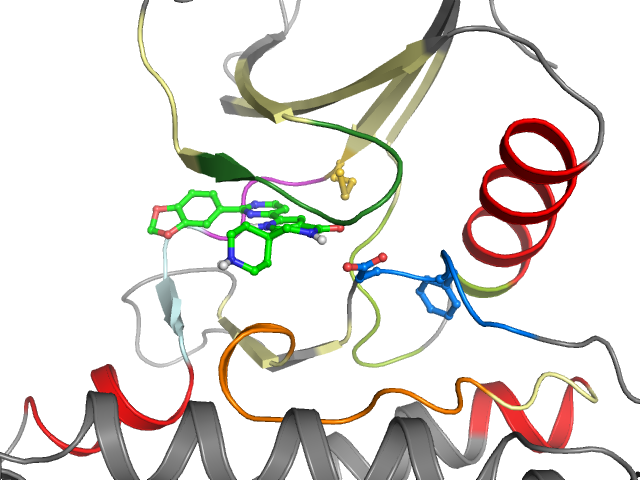 The orthosteric binding pocket