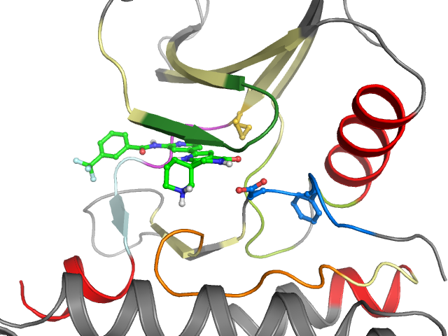 The orthosteric binding pocket