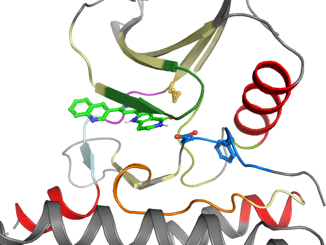 The orthosteric binding pocket