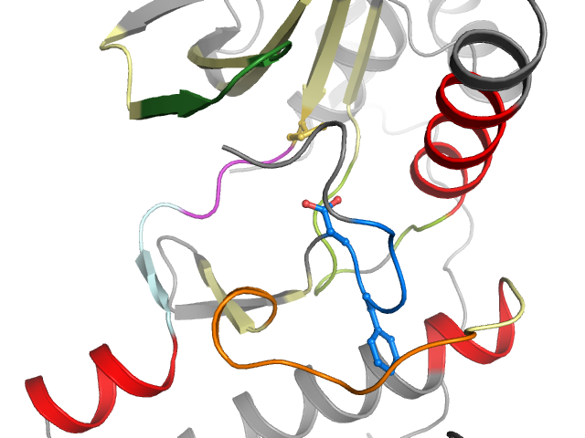 The orthosteric binding pocket
