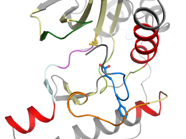 The orthosteric binding pocket