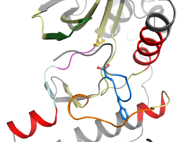 The orthosteric binding pocket