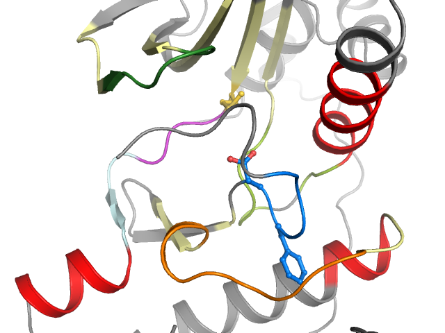 The orthosteric binding pocket