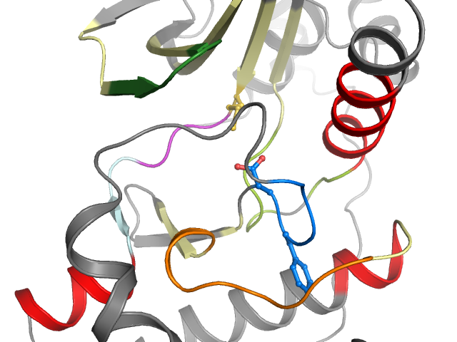 The orthosteric binding pocket