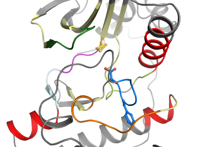 The orthosteric binding pocket