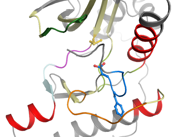 The orthosteric binding pocket