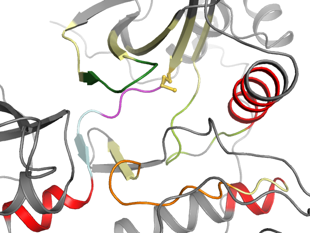 The orthosteric binding pocket