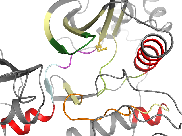 The orthosteric binding pocket