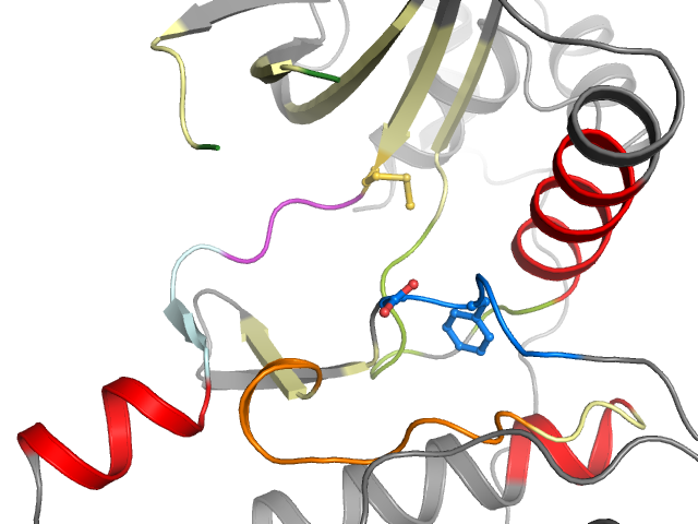The orthosteric binding pocket