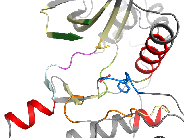 The orthosteric binding pocket