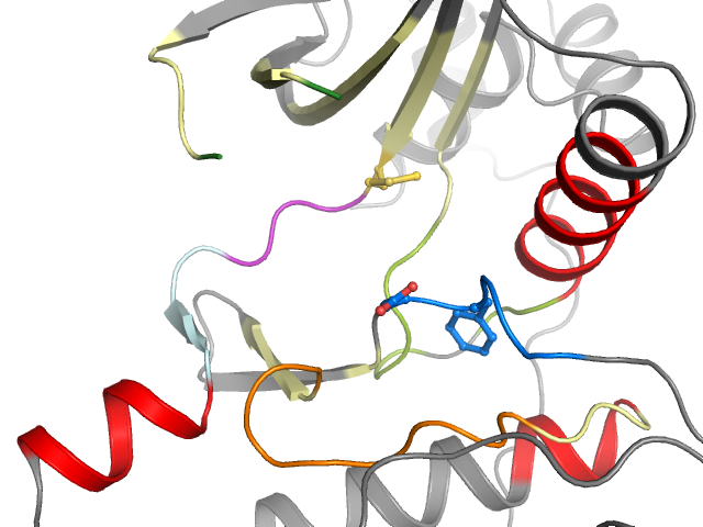 The orthosteric binding pocket