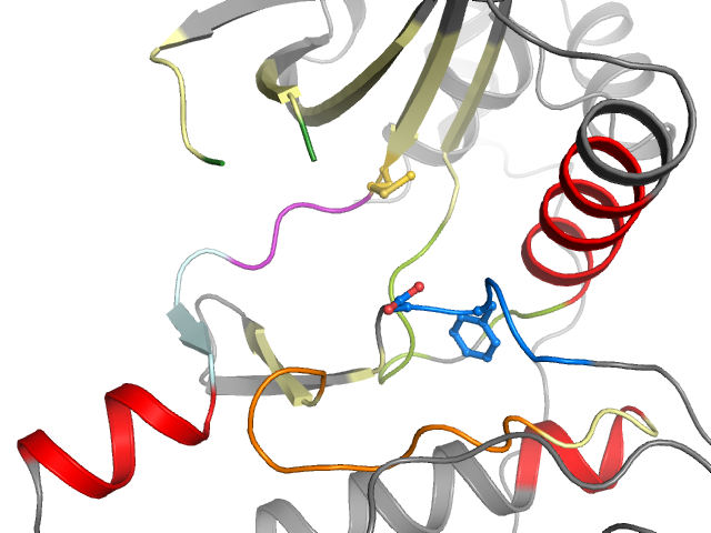 The orthosteric binding pocket