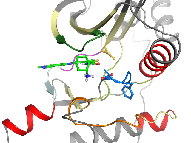 The orthosteric binding pocket