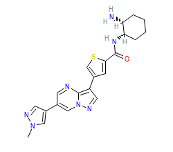 2D structure of the orthosteric ligand