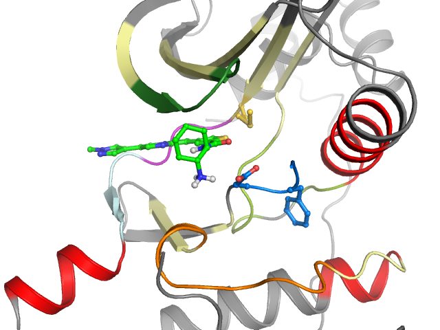 The orthosteric binding pocket