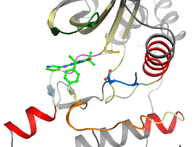 The orthosteric binding pocket
