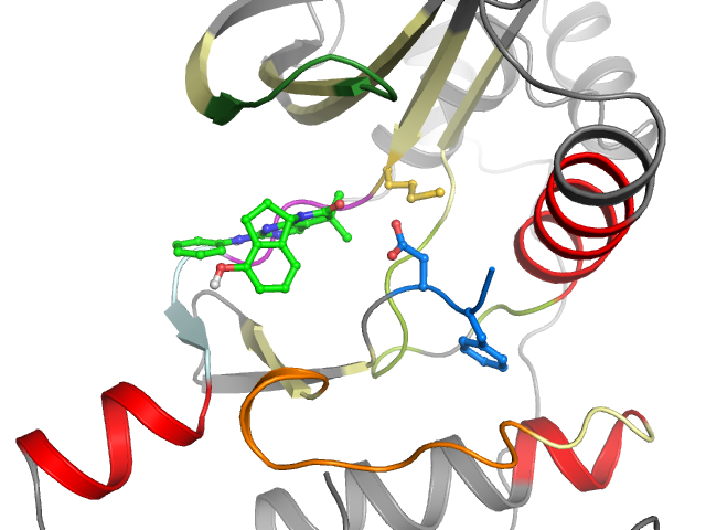 The orthosteric binding pocket