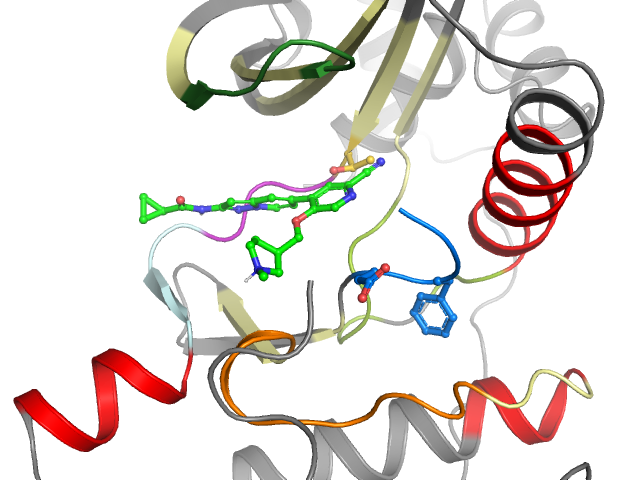 The orthosteric binding pocket