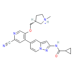 2D structure of the orthosteric ligand