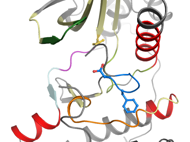 The orthosteric binding pocket