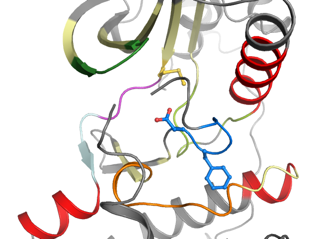 The orthosteric binding pocket